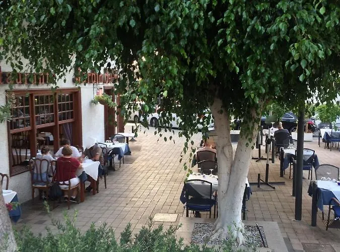 Flor De Pascua Акантиладо-де-Лос-Хигантес