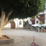 Flor De Pascua *