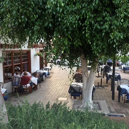 Flor De Pascua 아칸티라도